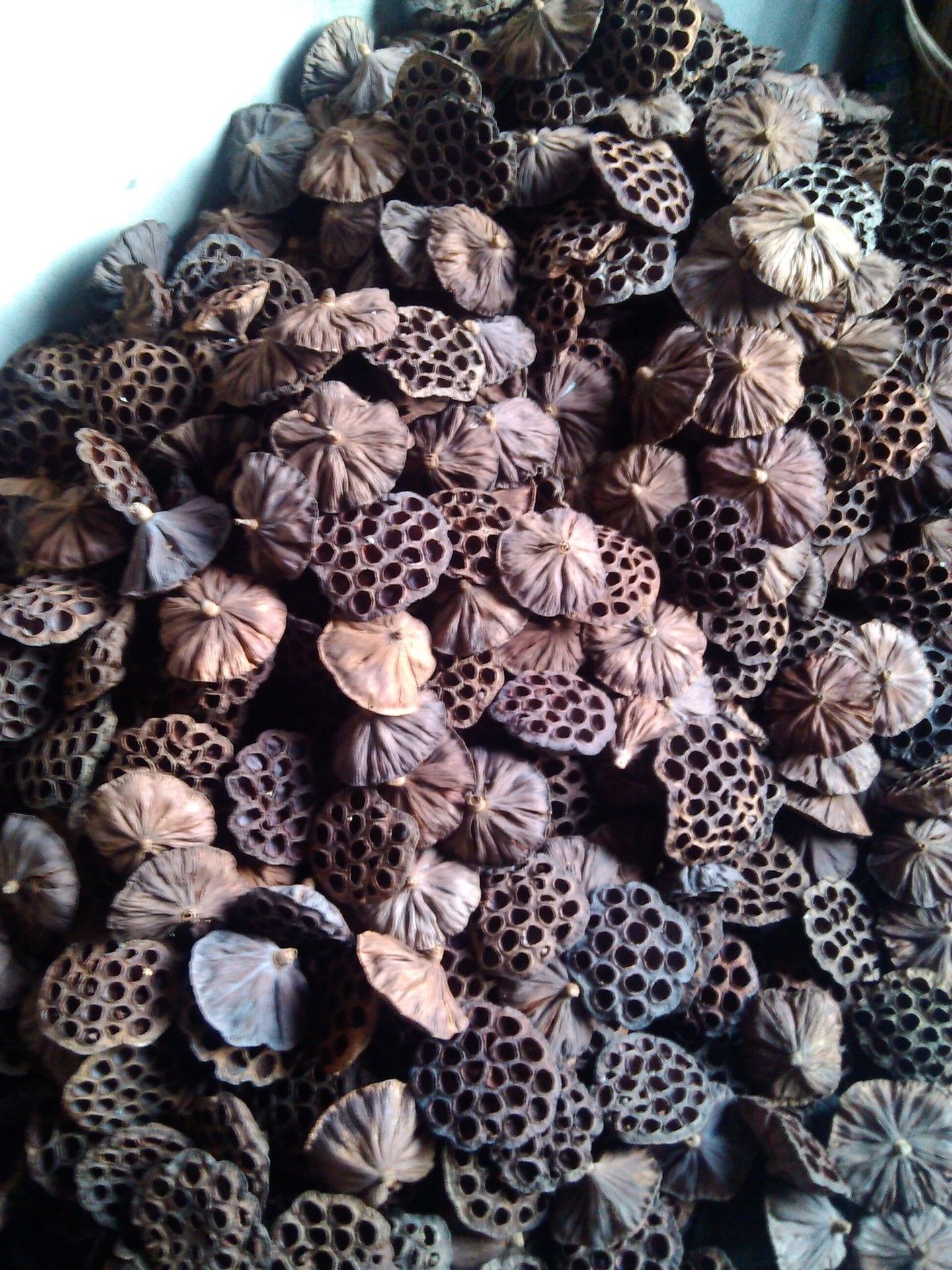 壳,芝麻壳,蒲棒,秋葵,野生莲子,狗尾草,蒲叶,益母草和各种尺寸莲蓬