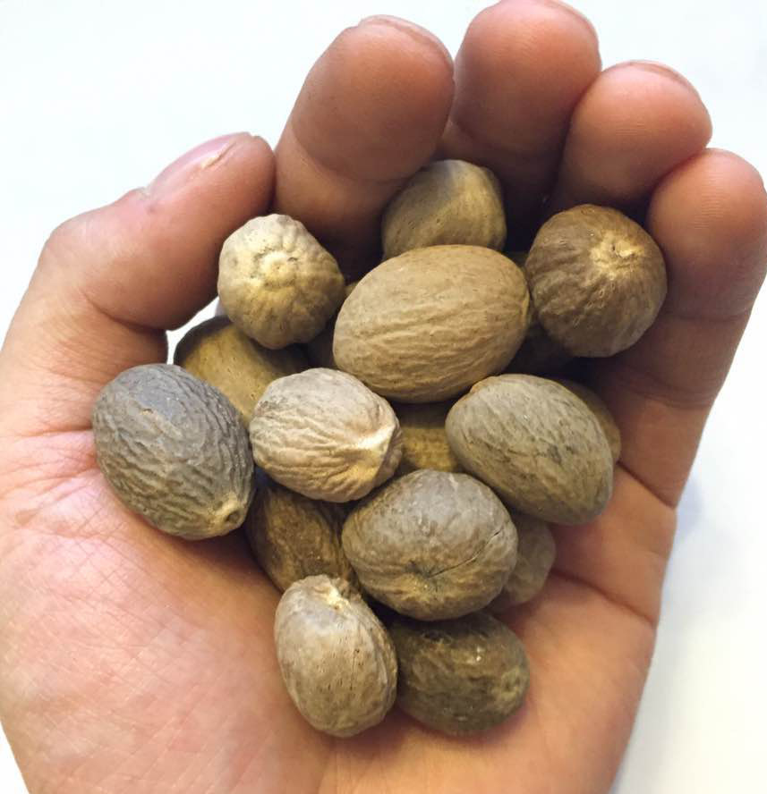 去壳肉豆蔻 玉果白豆蔻大量现货高品质香辛料香果 1000克