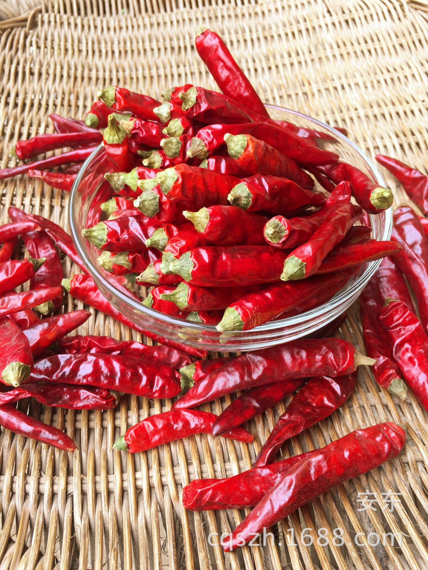 供应特香艳椒石柱红5号 香辣 耐煮 武汉鸭脖 重庆火锅专用