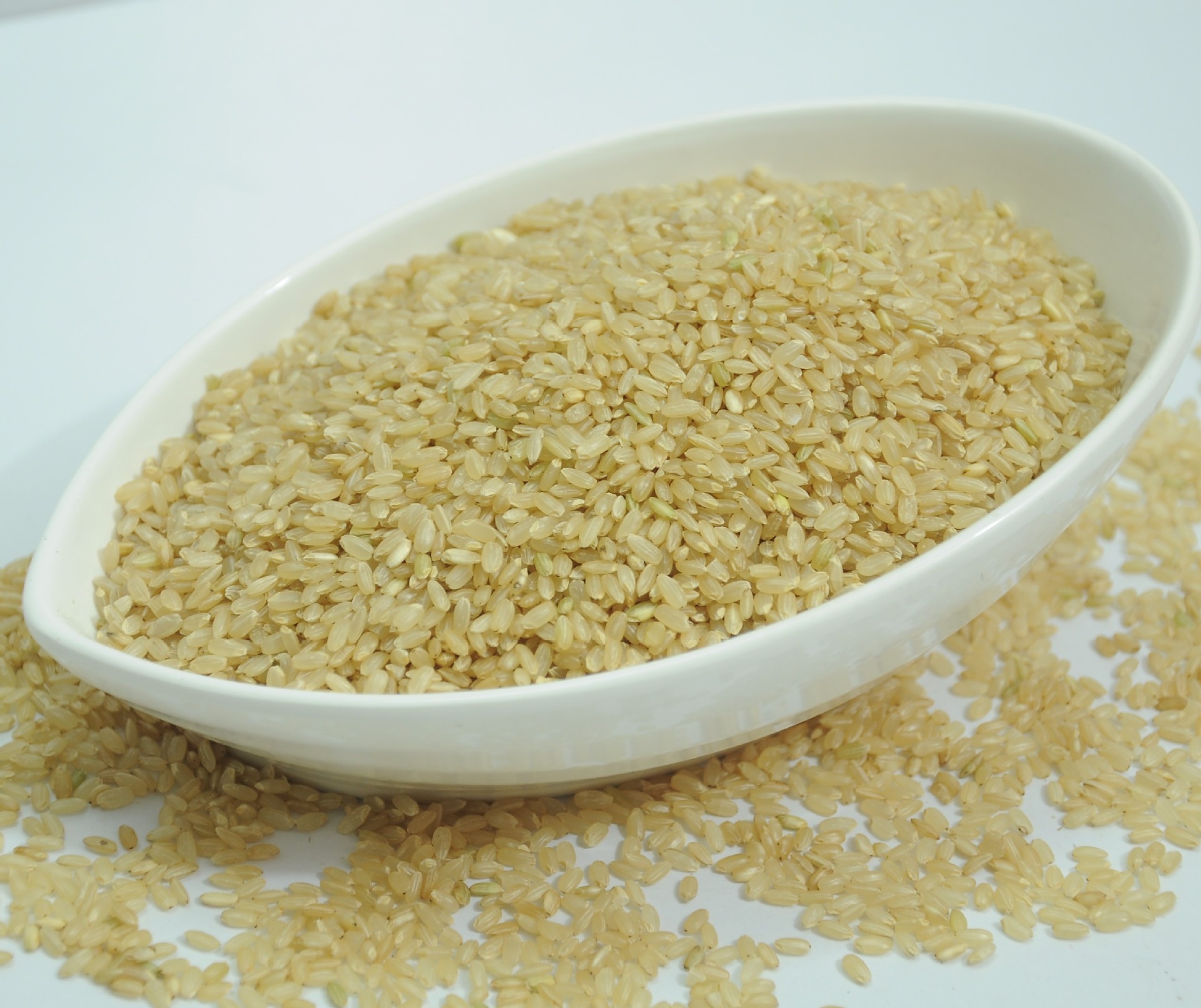 糙米 有机大米 内蒙古特产 健康粗粮 五谷杂粮 批发 产家直销