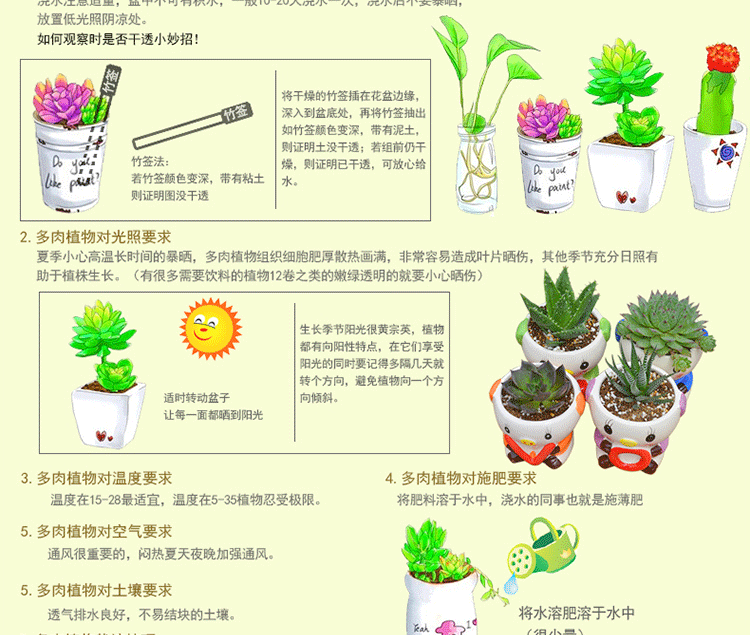 盆栽水葫芦养殖方法图片