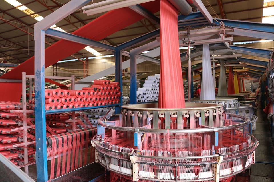 11223896_753668678076928_53066