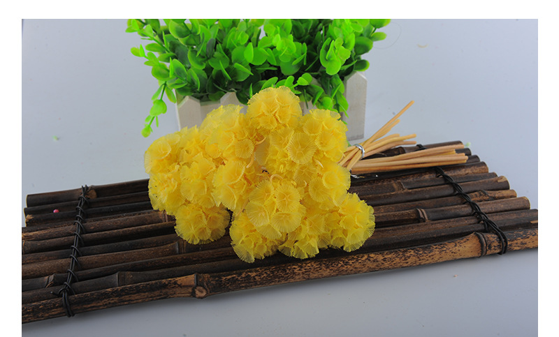 蓝月亮优质保鲜花松虫果 高品质永生花批发 手工花材现货供应ldcy