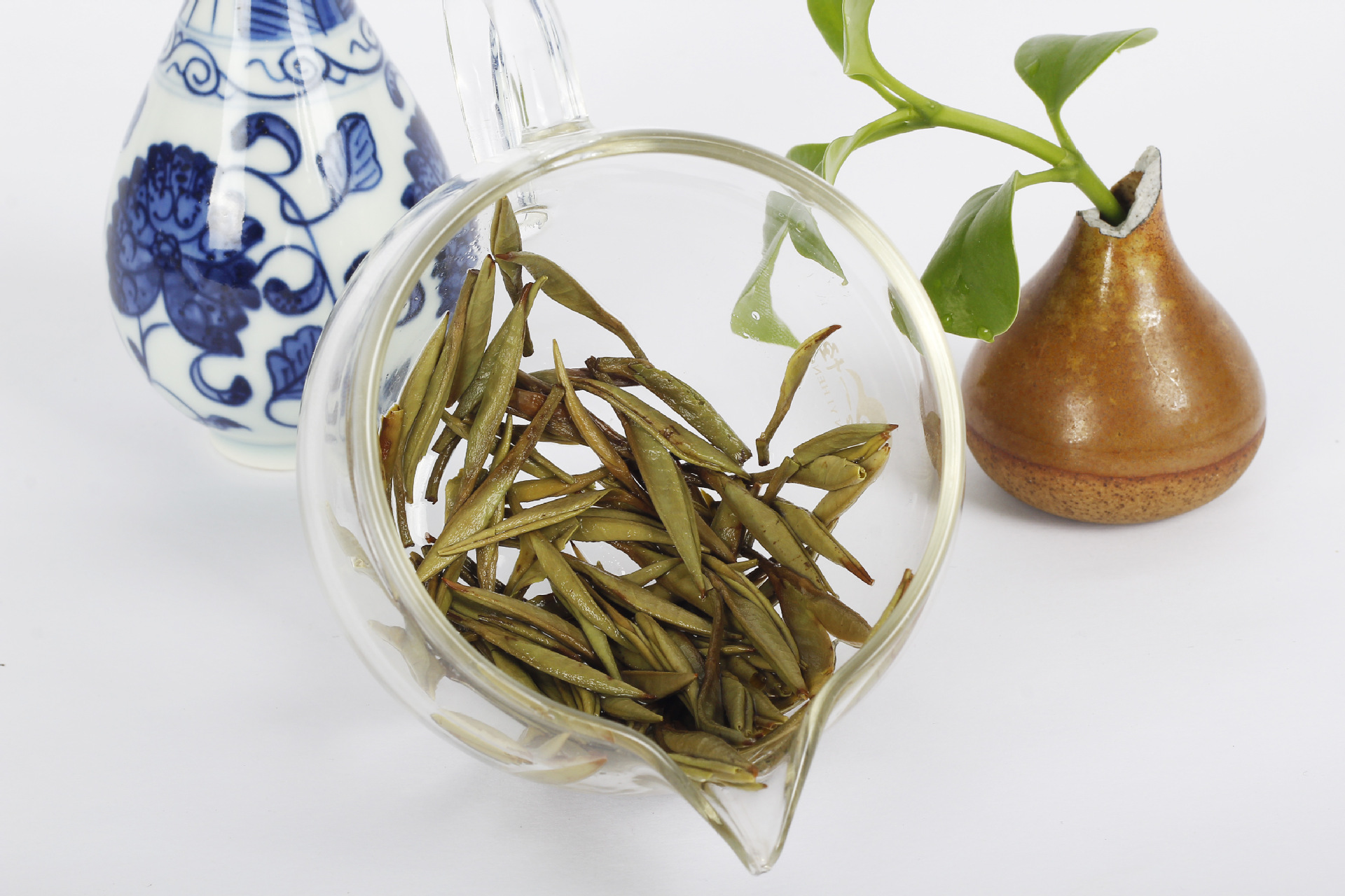 2015政和白茶白毫银针