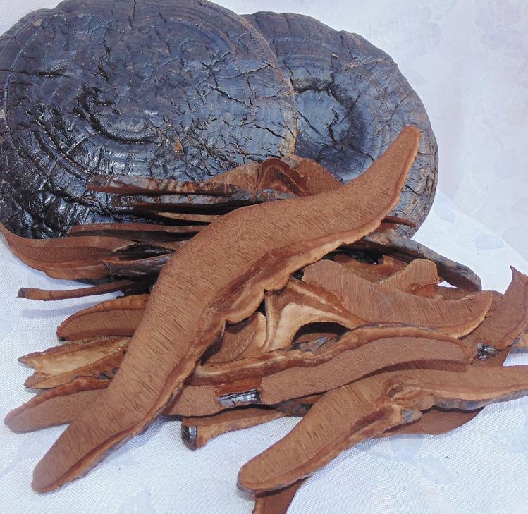 产地直销仿野生灵芝紫灵芝紫灵芝片黑灵芝片手工切片灵芝茶灵芝皇