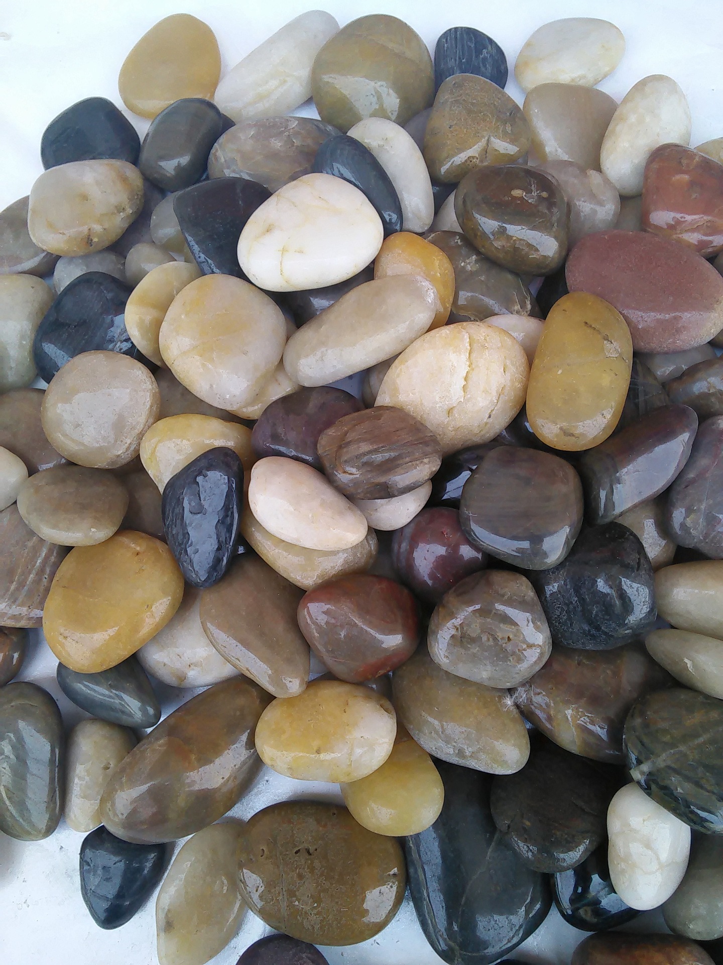 批发销售天然鹅卵石 白色鹅卵石 黑色鹅卵石 五彩鹅卵石 雨花石