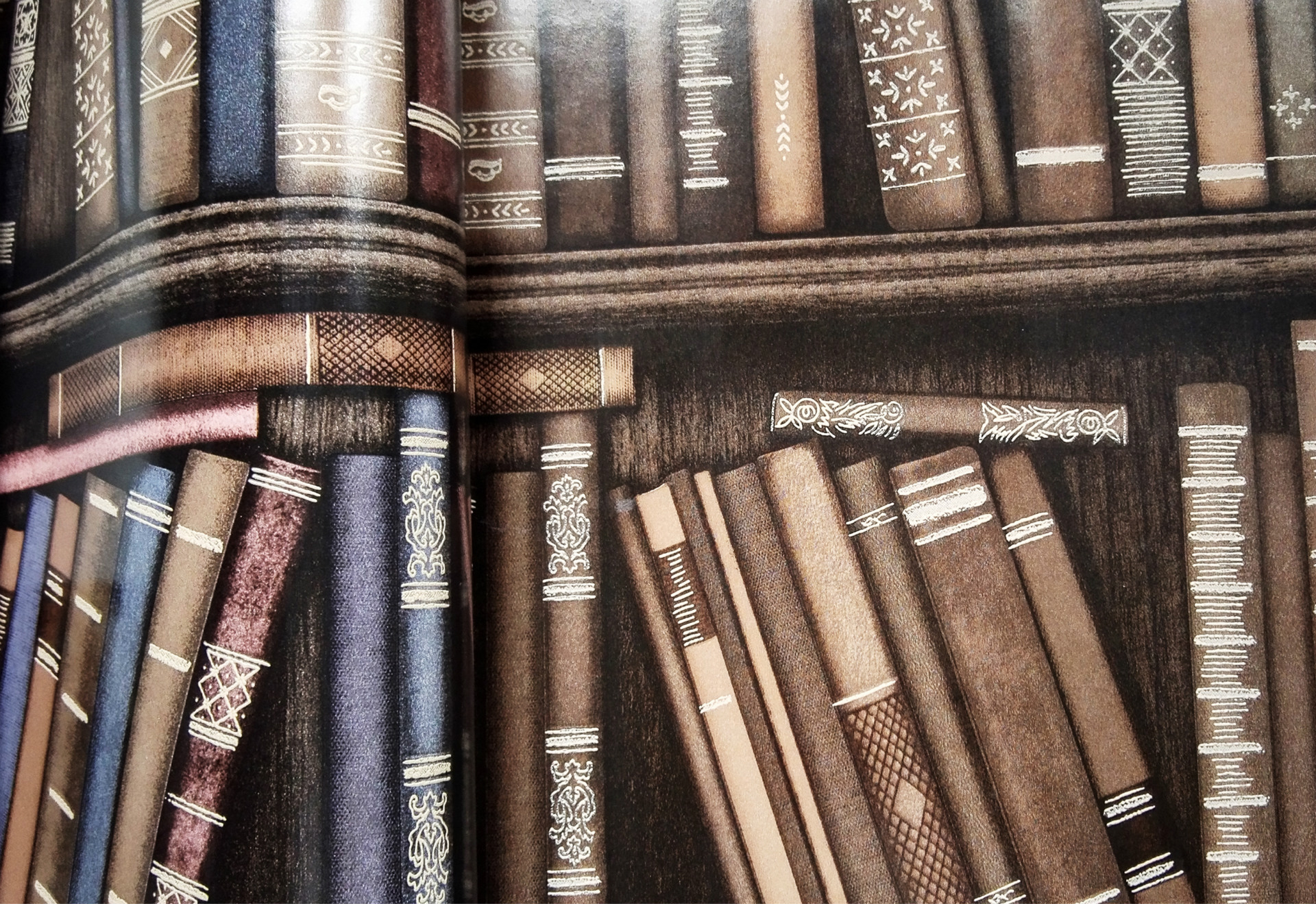 书架壁纸 书柜墙纸 书房 纯纸 小资情调d