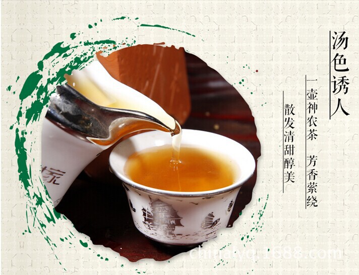 神农本草风降酸茶神农炎农绛酸茶升级版万松堂 排酸 茶