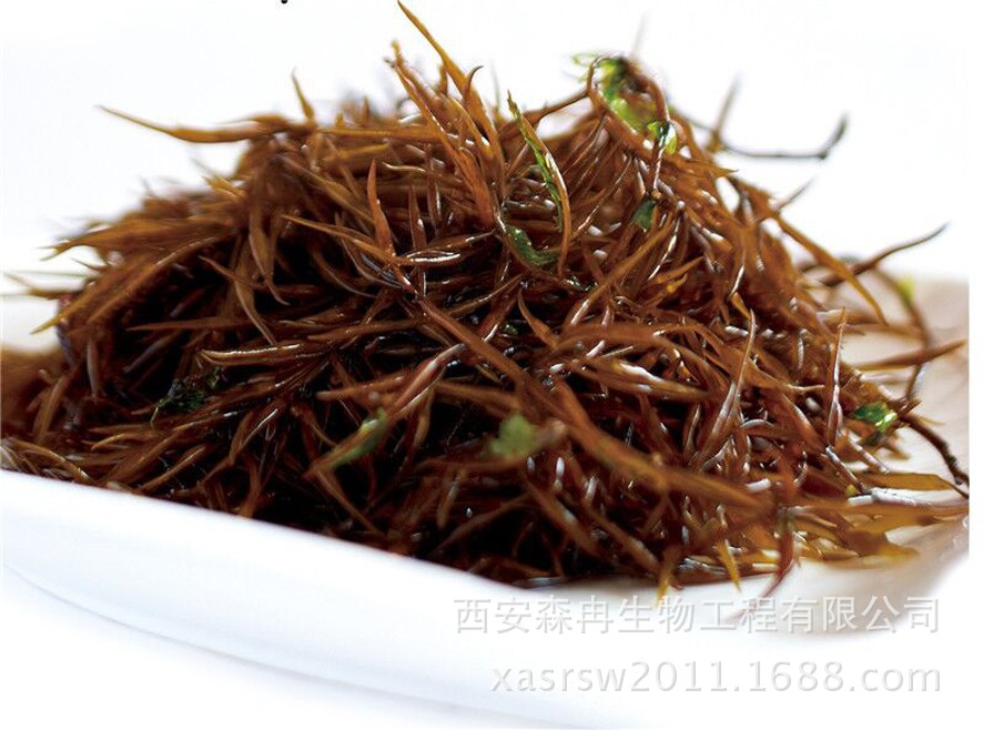 羊栖菜粉 海菜芽浸膏粉 羊栖菜浓缩粉