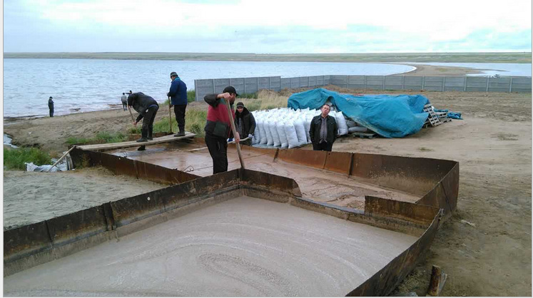 虾苗饲料水母幼鱼开口料可孵化丰年虾卵丰年虫卵95%孵化率卤虫卵-水产