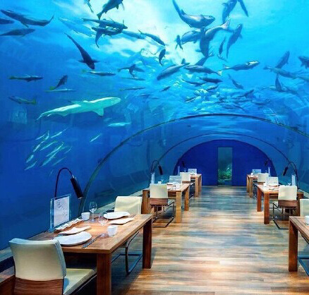 呈贡也能海底环游啦-海巢海洋馆