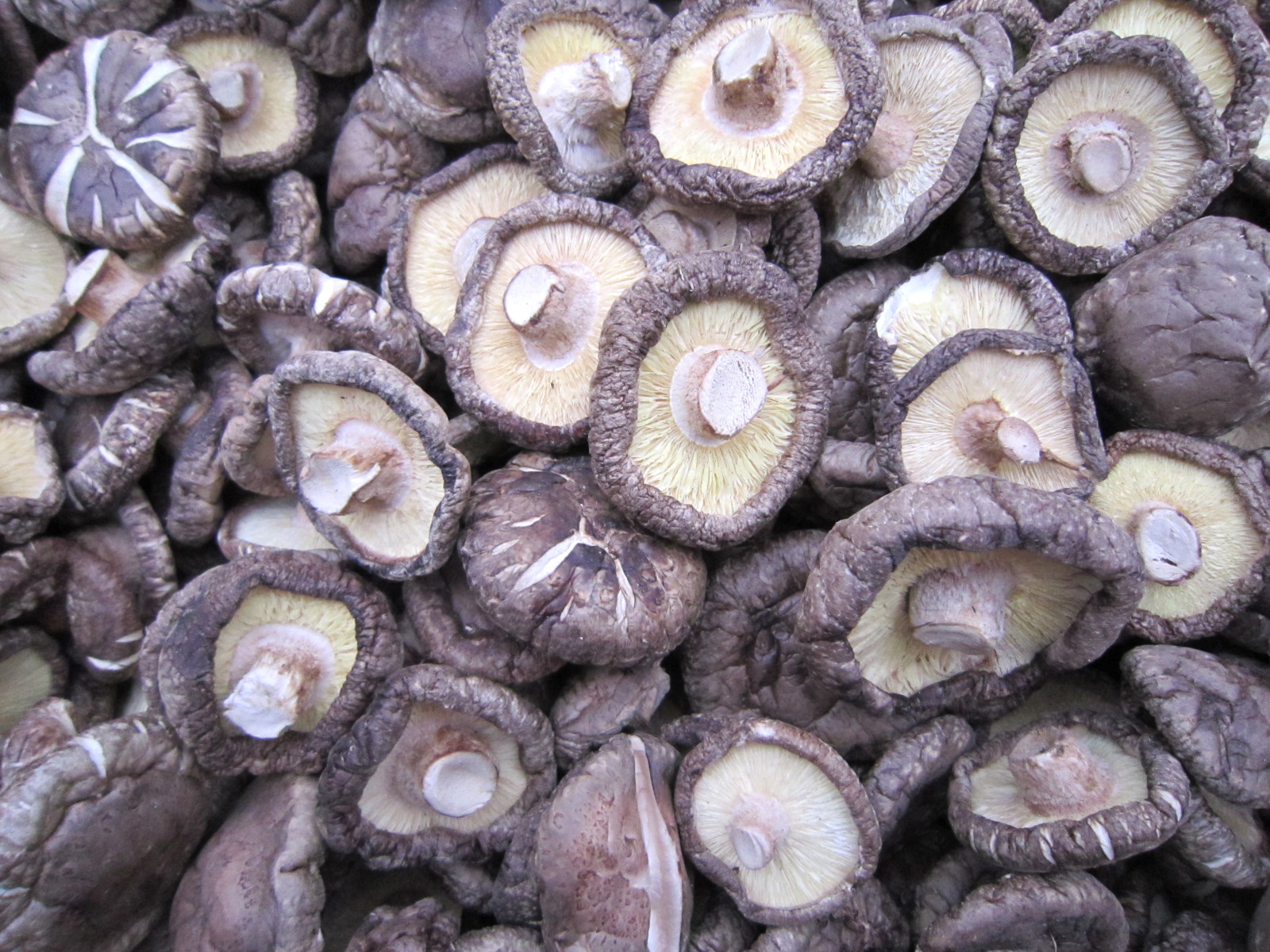 三岗大香菇剪柄随州香菇自产自销菇面4045cm500g包邮