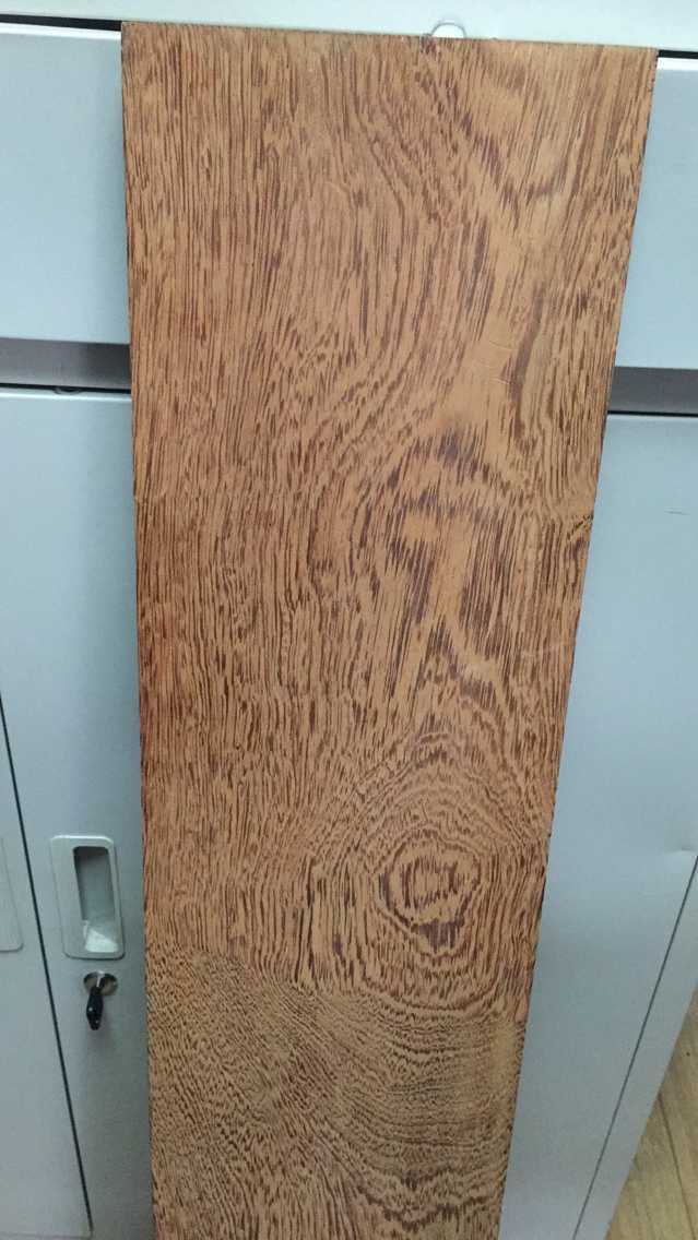 大口径南美黄鸡翅(瓦泰豆),南美菠萝格木,平均直径1米.