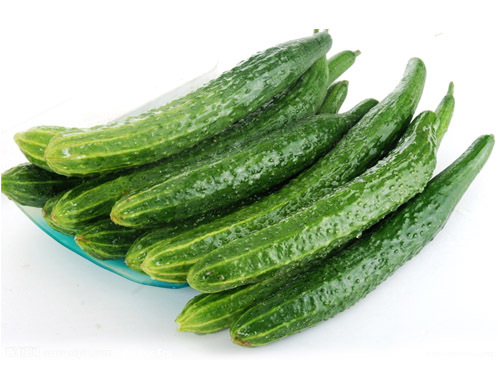 带刺黄瓜 绿菜青瓜 水果黄瓜 日本黄瓜基地无公害直供