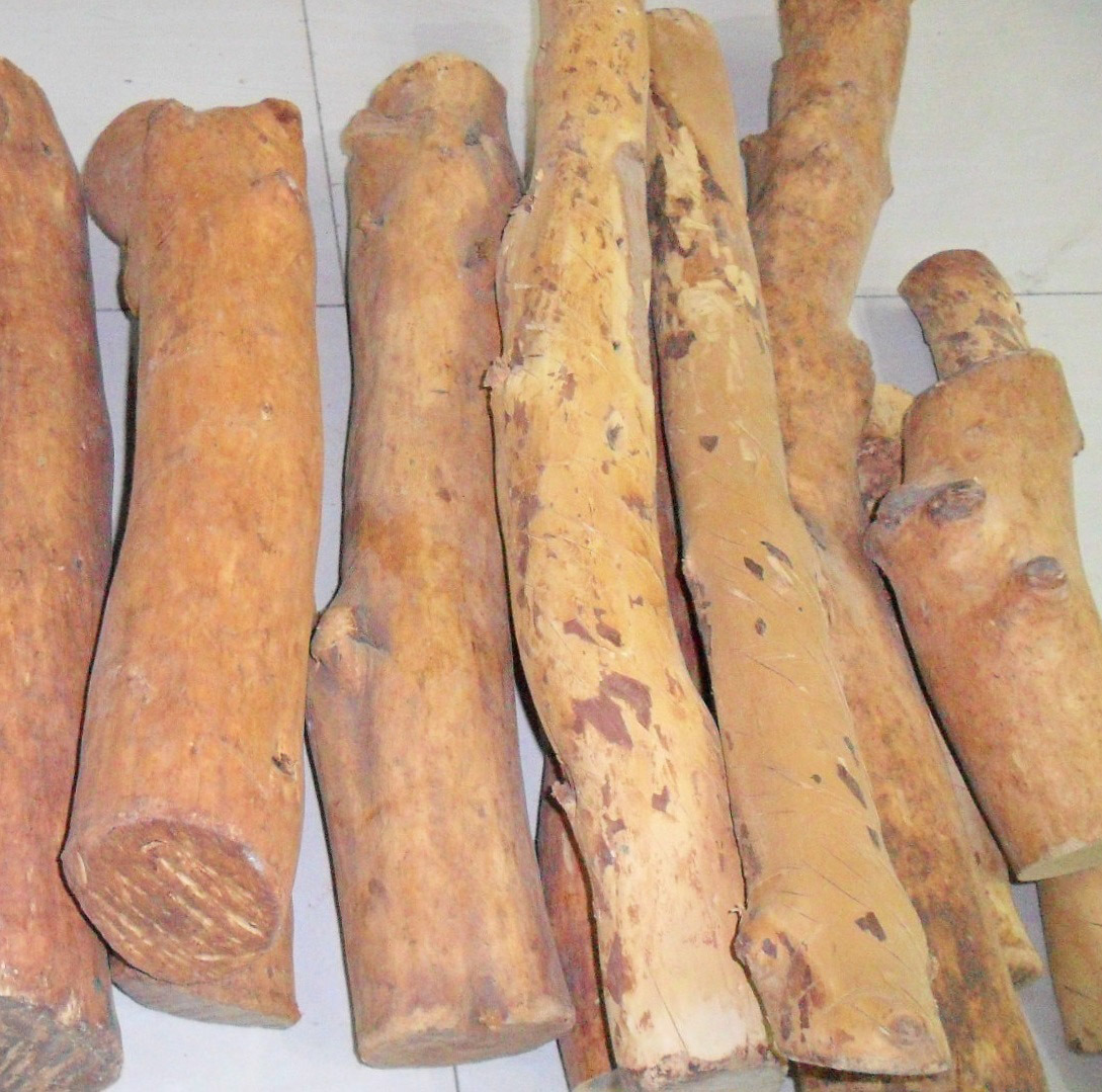 新品推荐种植檀香木原木 手串摆件檀香木木块原料定制批发