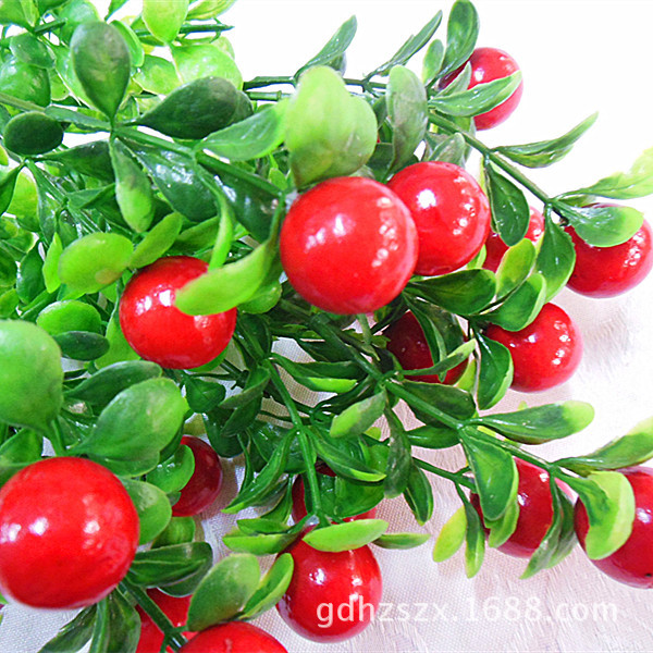 富贵果发财果 吉祥果 7个分枝21个果子 橘色和红色