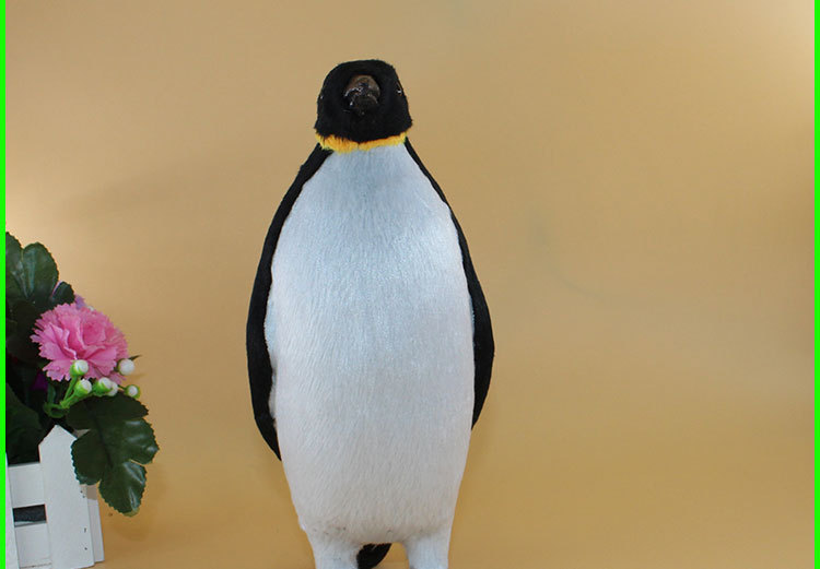 仿真企鹅模型摆件工艺品企鹅摆件企鹅标本