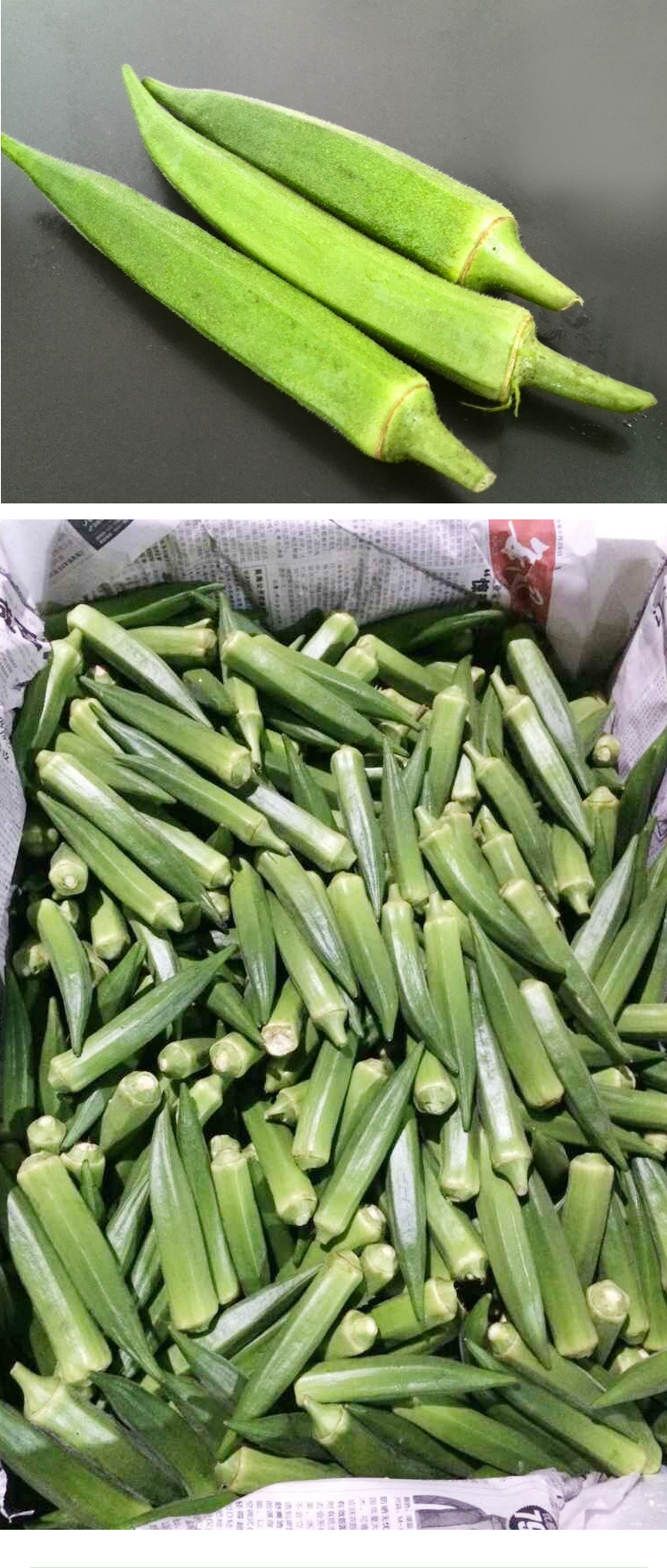 产品参数 品牌: 产商: 产地: 图文详情 品种 秋葵 品牌 其他 等级 优