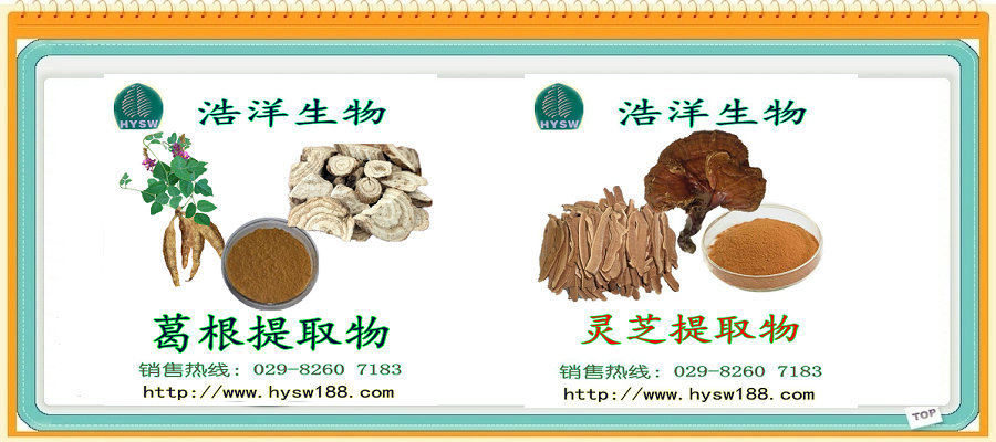 葛根