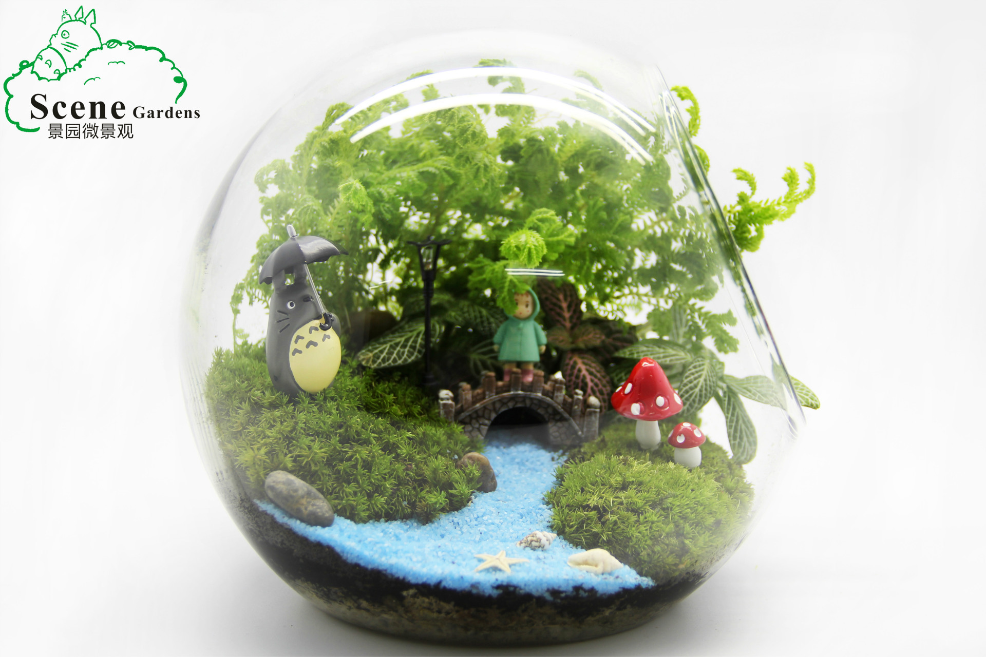 苔藓diy花瓶 圆形斜口玻璃瓶 微景观生态瓶 多肉植物苔藓瓶