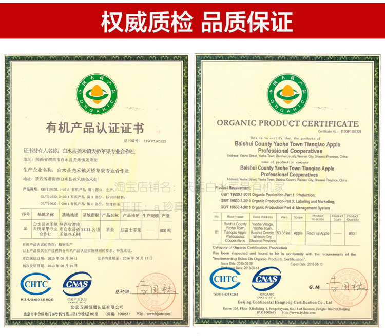 供应 新鲜苹果水果 有机红富士 特价批发包邮 团购更优惠