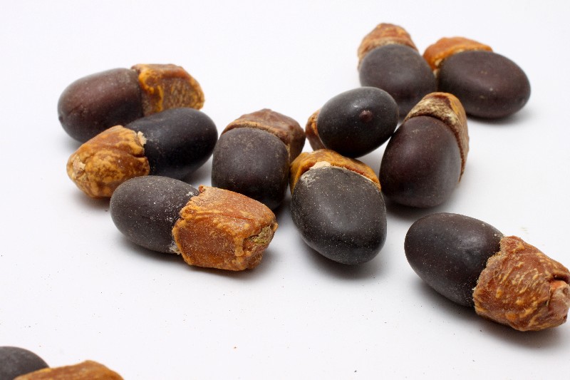 天然缅茄子批发缅茄菩提子原籽挂件手串马牙果长4cm畅销款