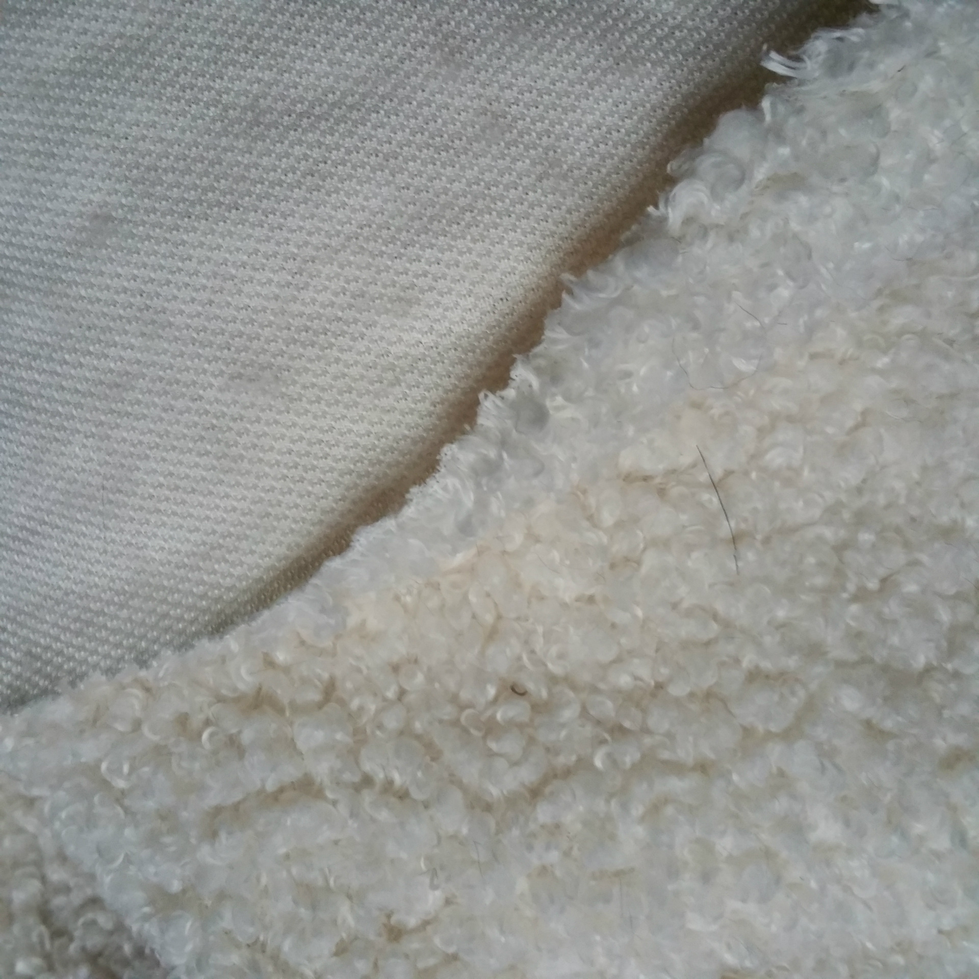 蚂蚁布 全涤绵羊绒布 700克 棕色 米白色 泰迪绒面料 - 布艺批发交易