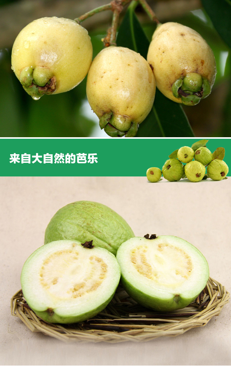 国产农家热带水果 新鲜芭乐水果 箱装珍珠番石榴批发香甜量大.