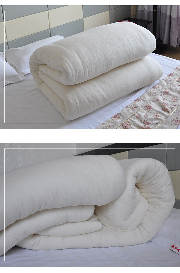 中国乳制品产业网 乳制品产业网供应 厂家定制新疆棉春秋被棉花被 全