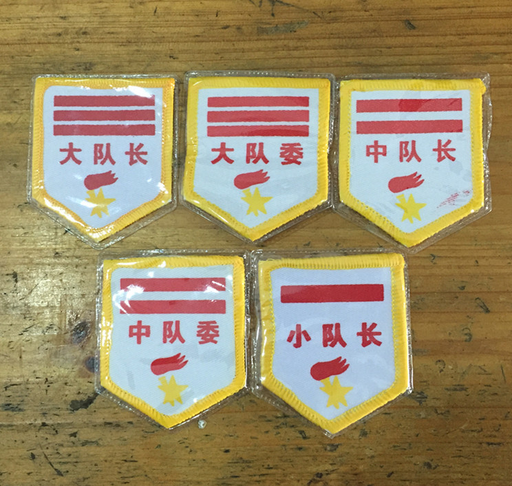  font color=red>大 /font>队委/中队委/小队委 font color=red>标志 