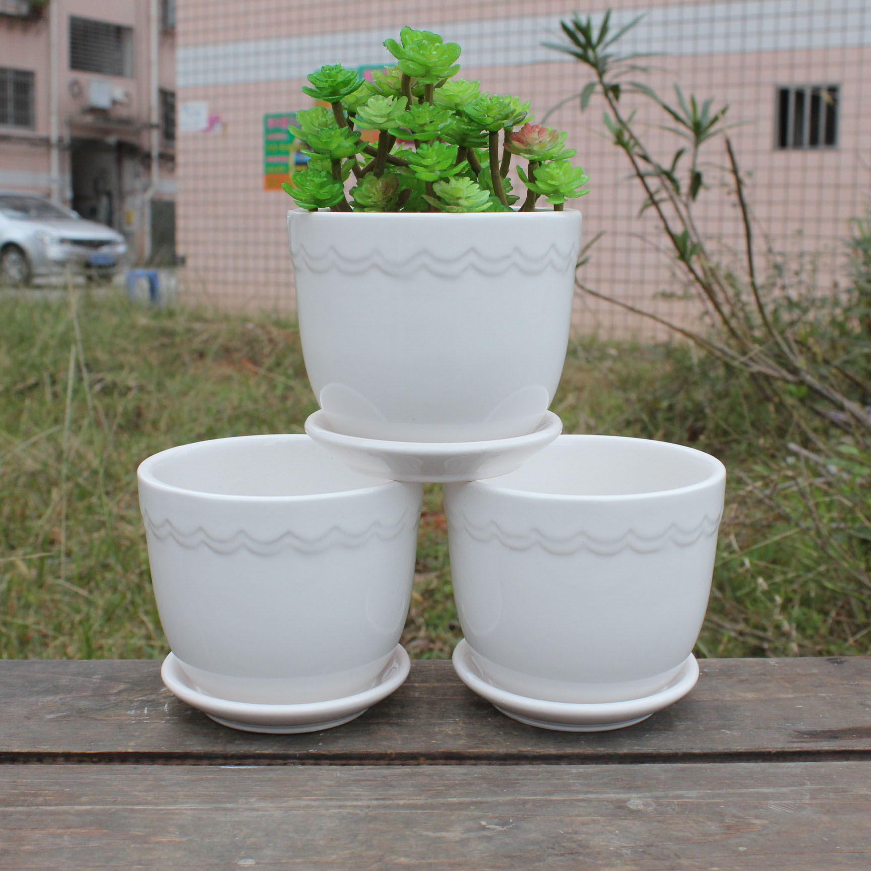 陶瓷时尚花盆-新款价格,厂家,货源-阿里巴巴