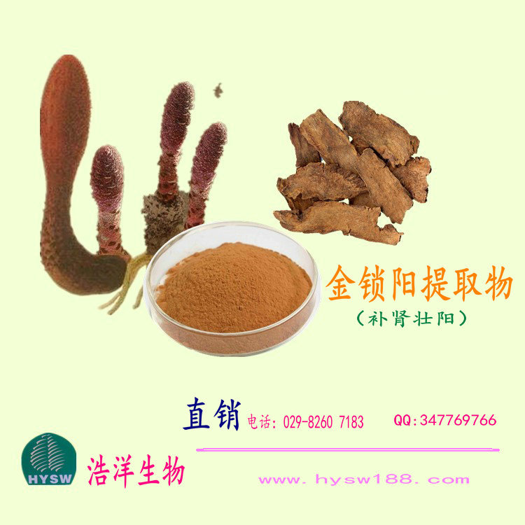 锁阳提取物
