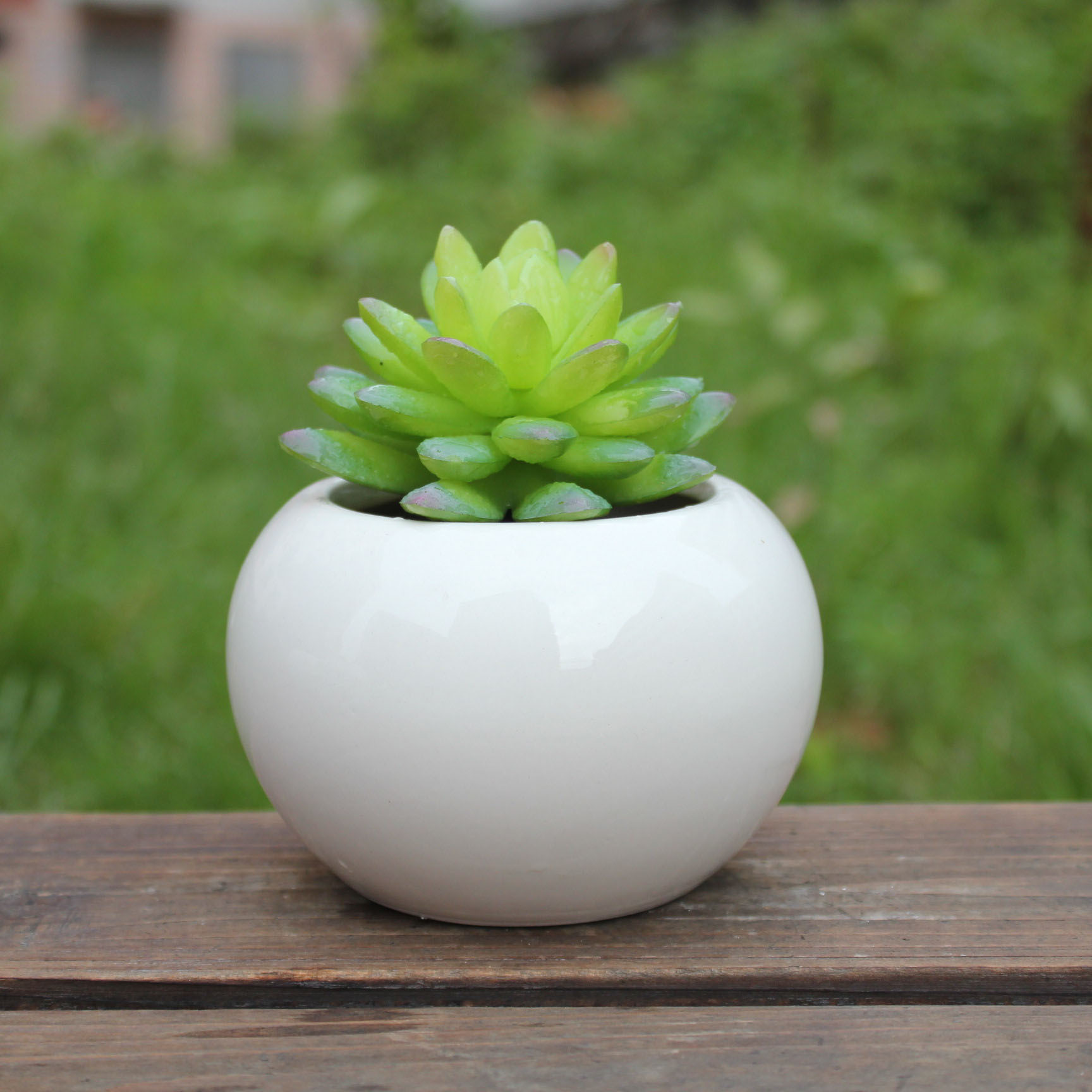 多肉花盆简约白色清雅12456大号陶瓷花盆迷你花盆厂家直销批发