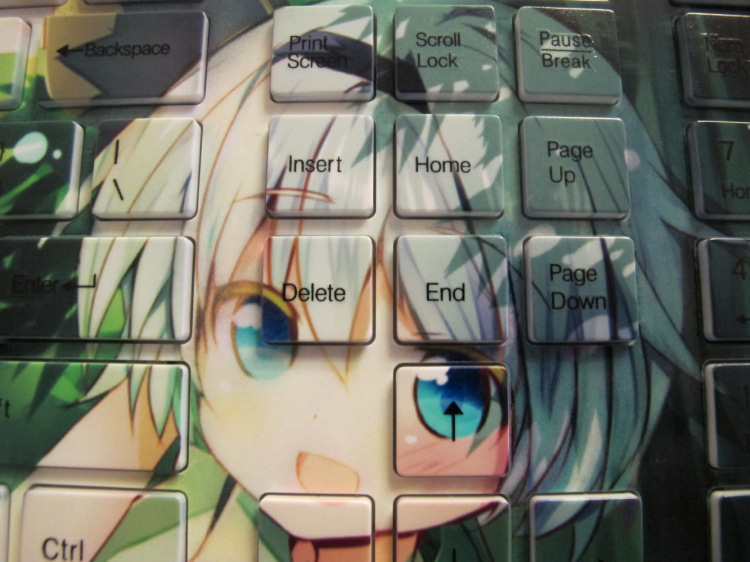 2693221030_909532611