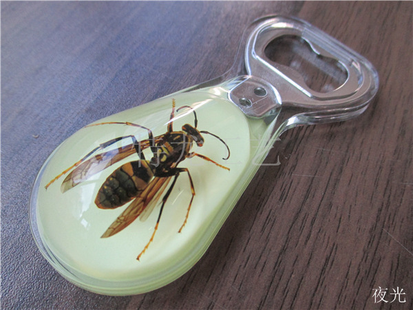 夜光开瓶器 真实昆虫标本启瓶器 生日小礼品 特色工艺品 琥珀饰品