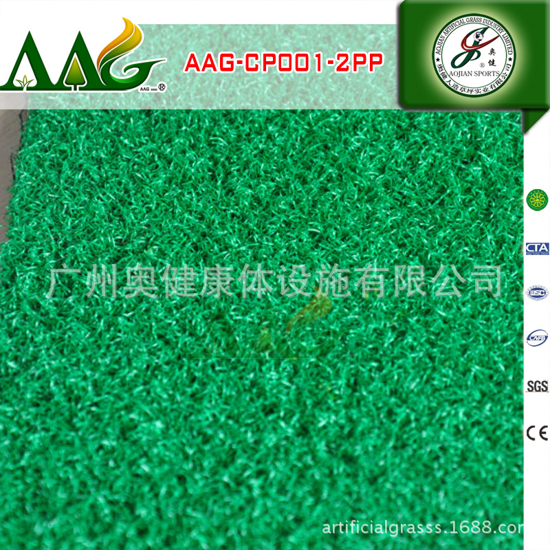 AAG-CP001-2PP (3)