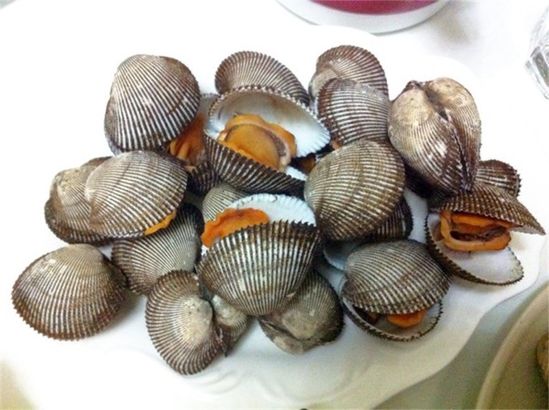 连云港海产品 批发 海鲜 毛蛤 大毛蛤 优质鲜活 产地直销