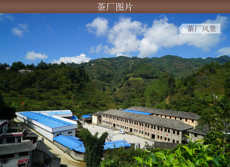 源头产地批发 正宗云南凤庆滇红茶 大摆田茶厂 二叶红螺 蜜香型