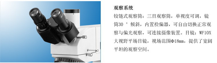 XJL-101彩图1