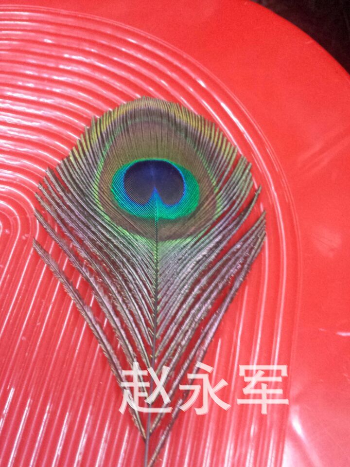 QQ图片20150403133034