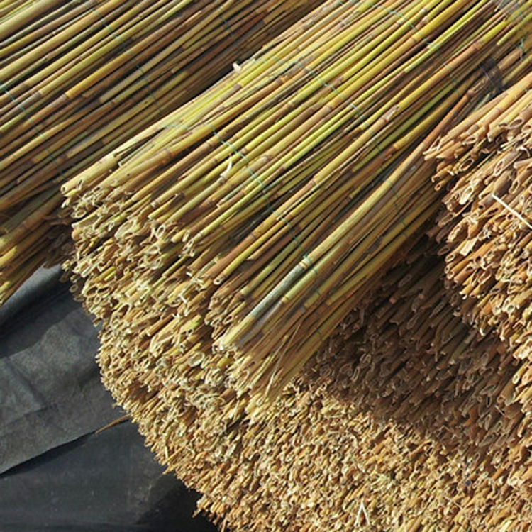 特价批发天然芦苇箔 吊顶苇箔 厂家直销苇箔 自然古朴装饰品