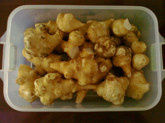 听说鬼子姜(洋姜,又叫菊姜)对血糖具有双向调节的作用,糖尿病患者吃了