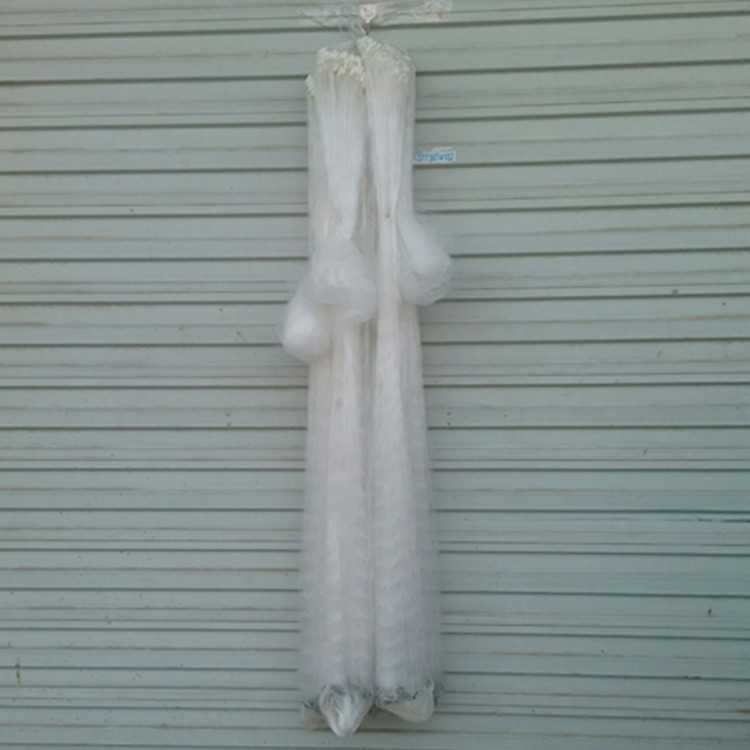 小金鱼_小金鱼供应商_小金鱼批发市场