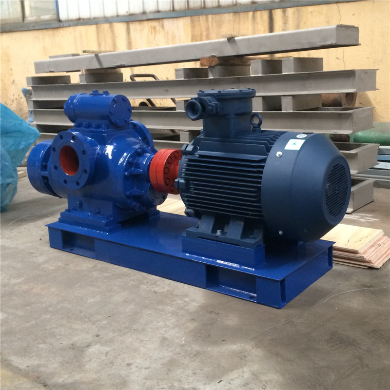 2gh不锈钢双螺杆泵 厂家直销 双吸真空双螺杆泵 卧式 江苏龙力