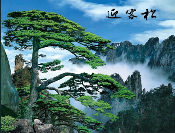 5d超高清立体画 pet立体画贴纸 5d工艺画 30*40_运通画框(5d画)_义乌