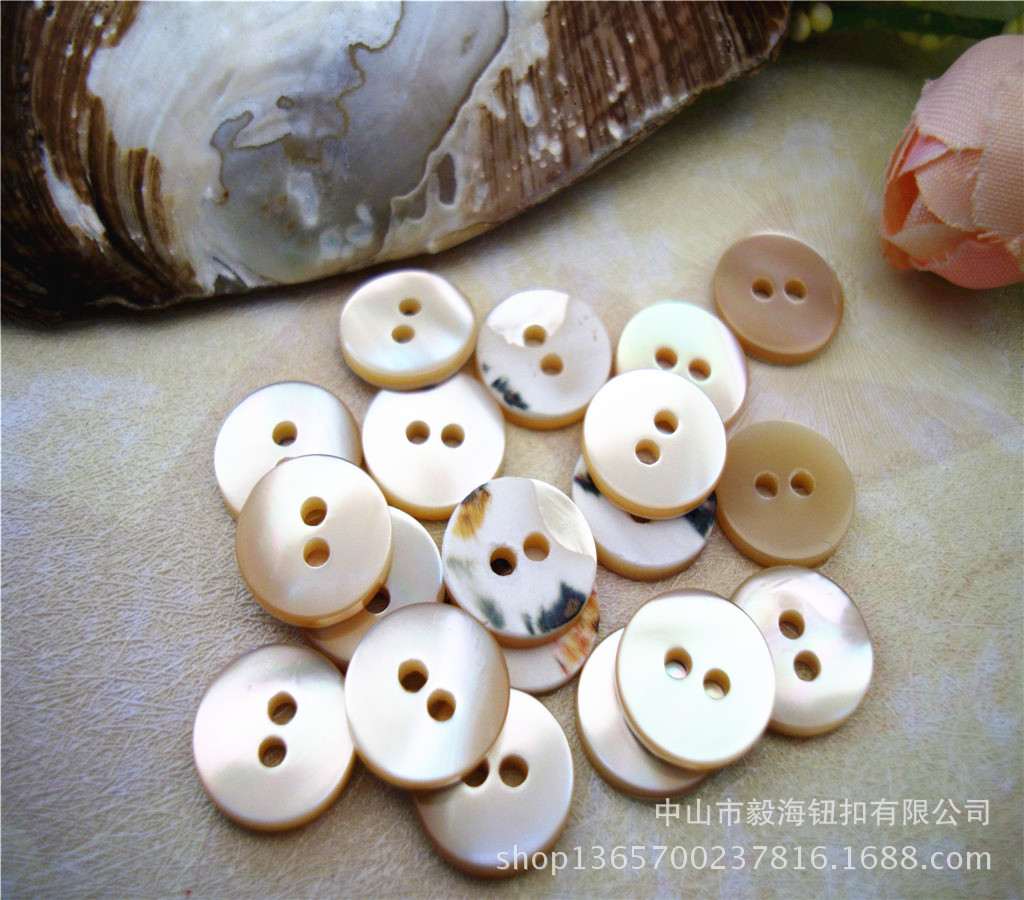 高档天然色贝壳纽扣 圆形四眼马蹄螺贝壳扣 衬衫贝壳扣子9mm-25mm