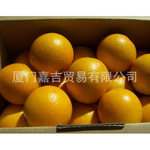 怎么看橙子屁股挑橙子_我的世界小橙子姐姐橙子大闹天宫_橙子为什么叫柳丁