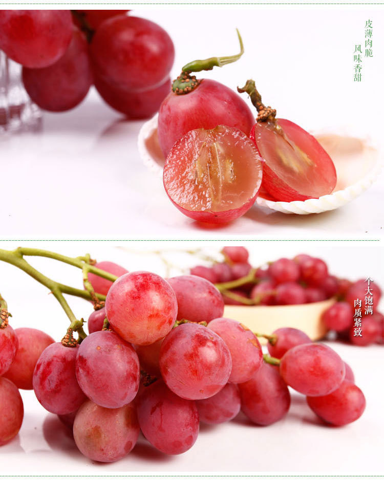 草莓供应 供应红提葡萄 一级新鲜水果 厂地直销 预售 品种 红提 等级