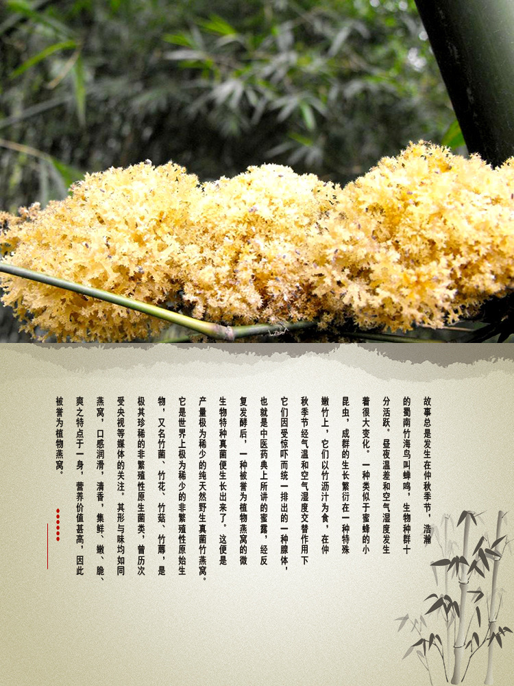 养生竹燕窝