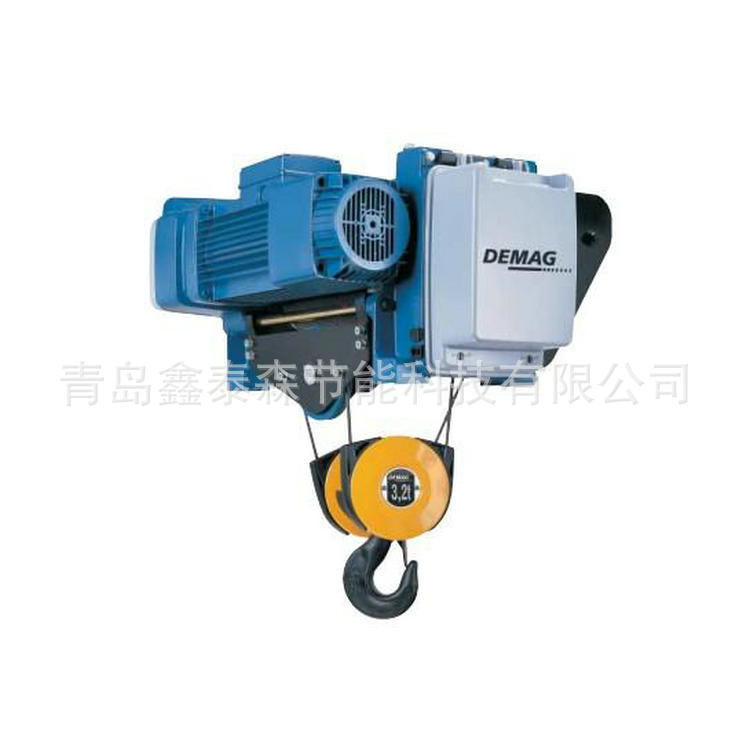 钢丝绳电动葫芦10